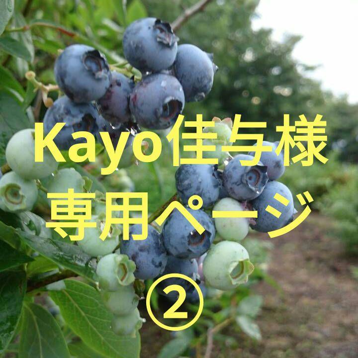Kayo佳与様★専用ページ②