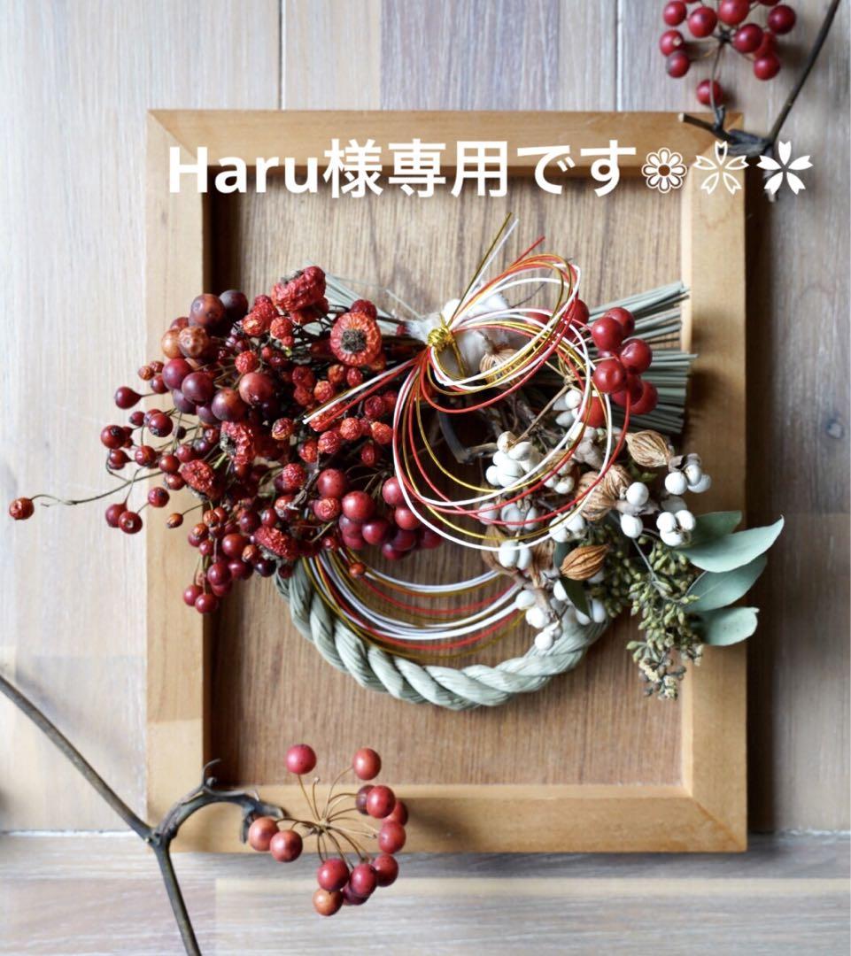 Haru様専用です❁❀✿