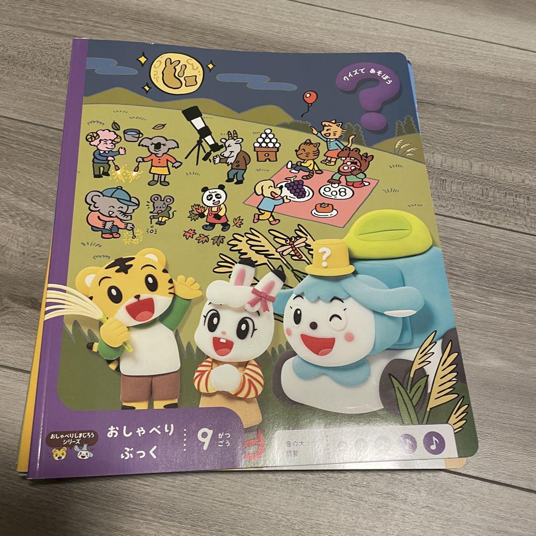 ほぼ新品　こどもちゃれんじポケット　おしゃべりブック１月から11月号