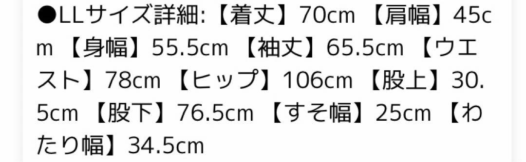 値下げ　試着のみスキーウェアLL