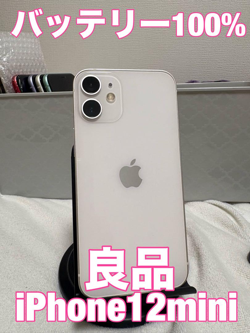 【バッテリー100%激安出品】iPhone12mini 256GB