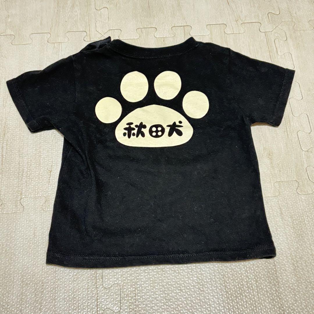 【限定品】 [新品未使用] 柴犬柄Tシャツ & 柴犬柄ショートパンツ 上下セット Amazon | [JZMQBDBQKH] 半袖 ポロシャツ 柴犬 犬柄 メンズ 2点