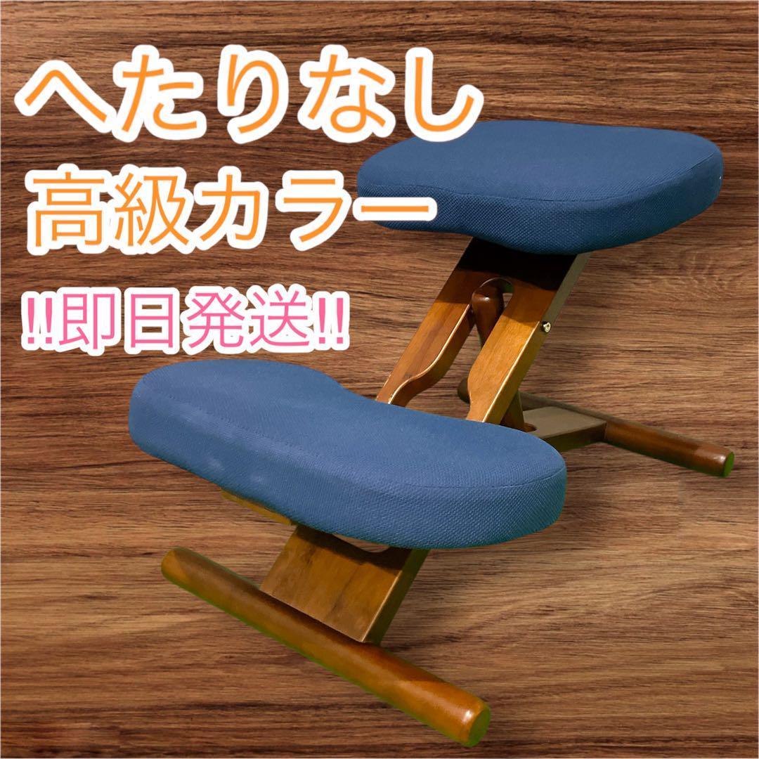 希少品 バランスチェア 姿勢矯正 プロポーションチェア キッズ 送料無料