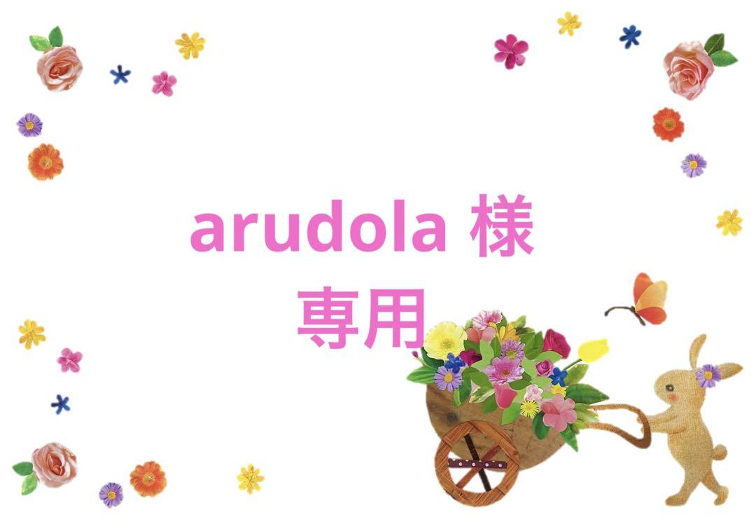 arudola様 専用 吴磊ぬいぐるみ・写真カードセット