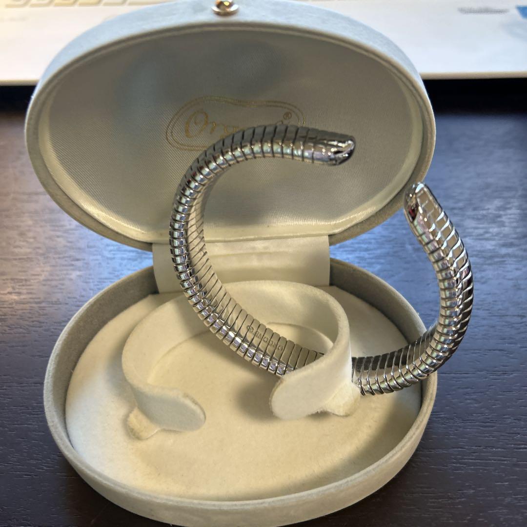Orgone オルゴン施療用リング