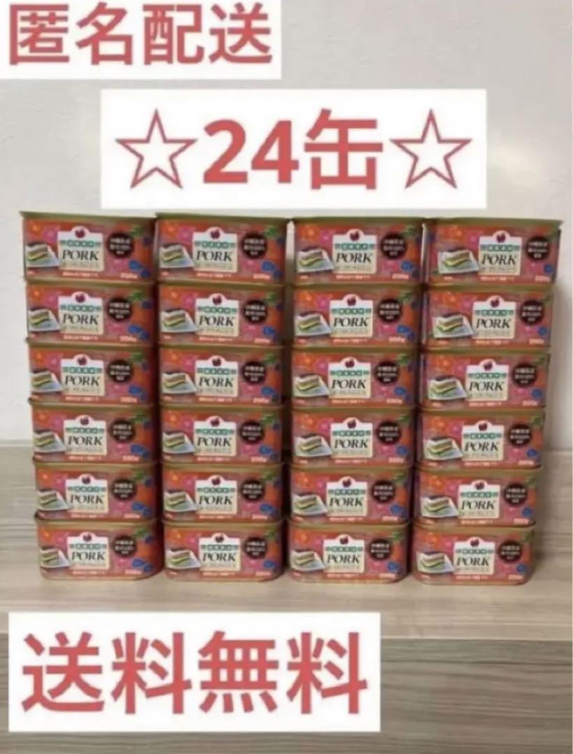 国産 沖縄 ポーク 2ケース(24缶) 豊富なギフト その他 | milempleos.co