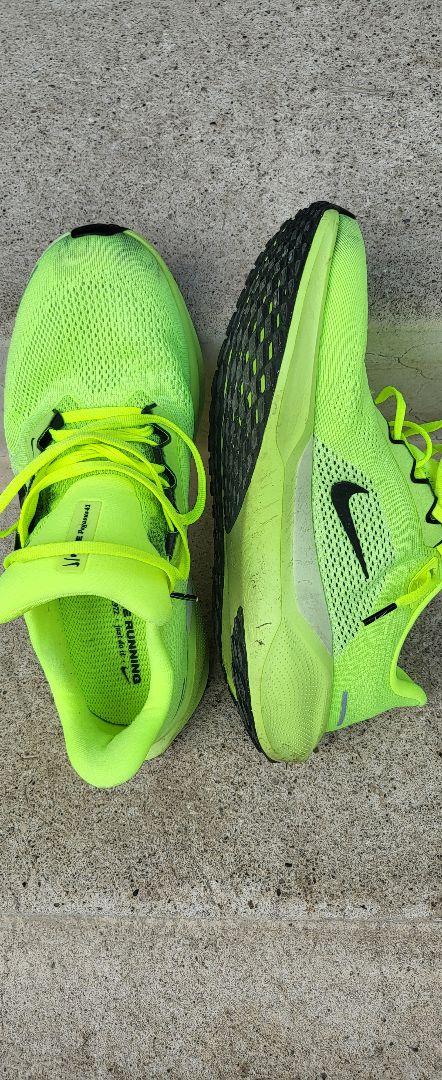 Nike エアペガサス41