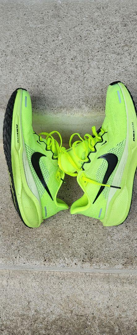 Nike エアペガサス41