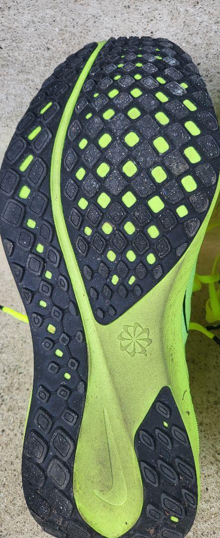 Nike エアペガサス41