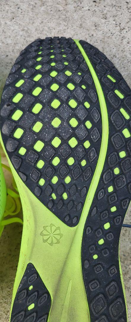 Nike エアペガサス41