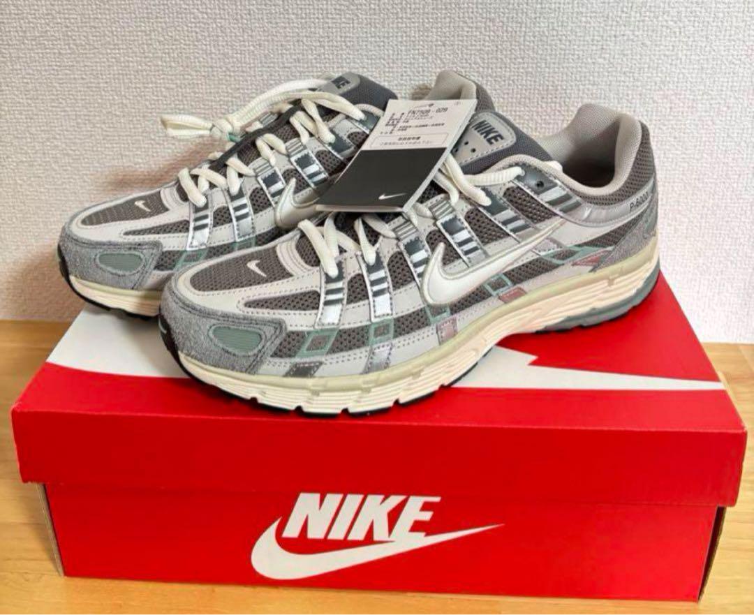 25.5 新品　Nike ナイキ P-6000　FN7509-029