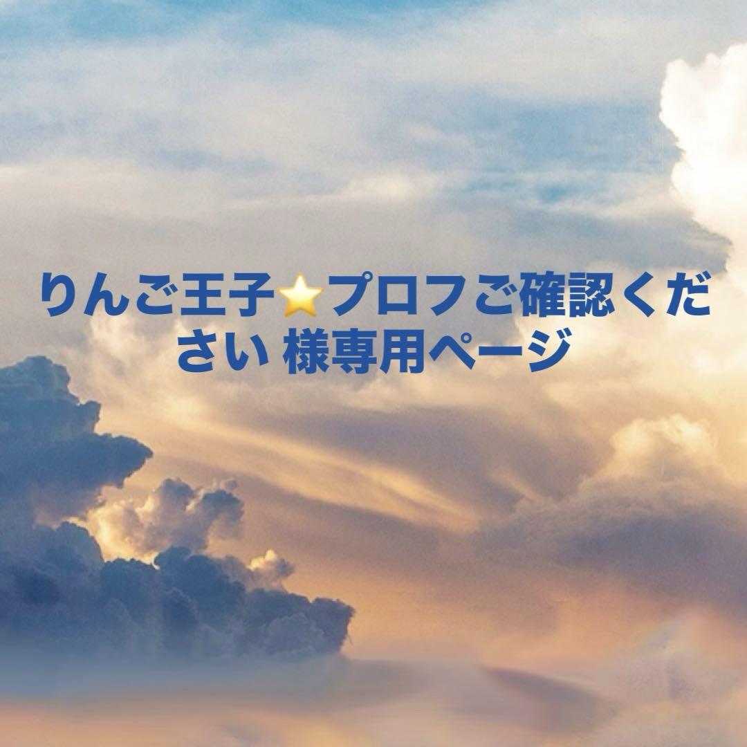 訳あり りんご王子⭐️プロフご確認ください 様専用ページ - メルカリ 語学・辞書・学習参考書