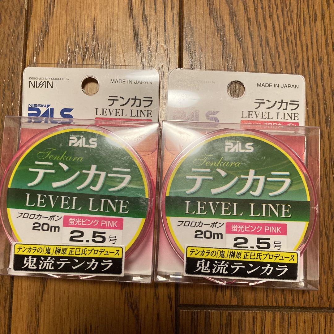 鬼テンカラ レベルライン 2.5号 2巻
