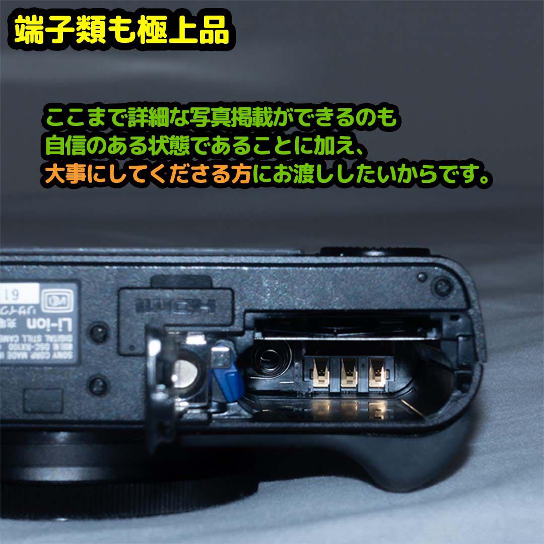 WEB限定カラー DSC-RX100 初代 【アイランダー様ご売約 デジタルカメラ