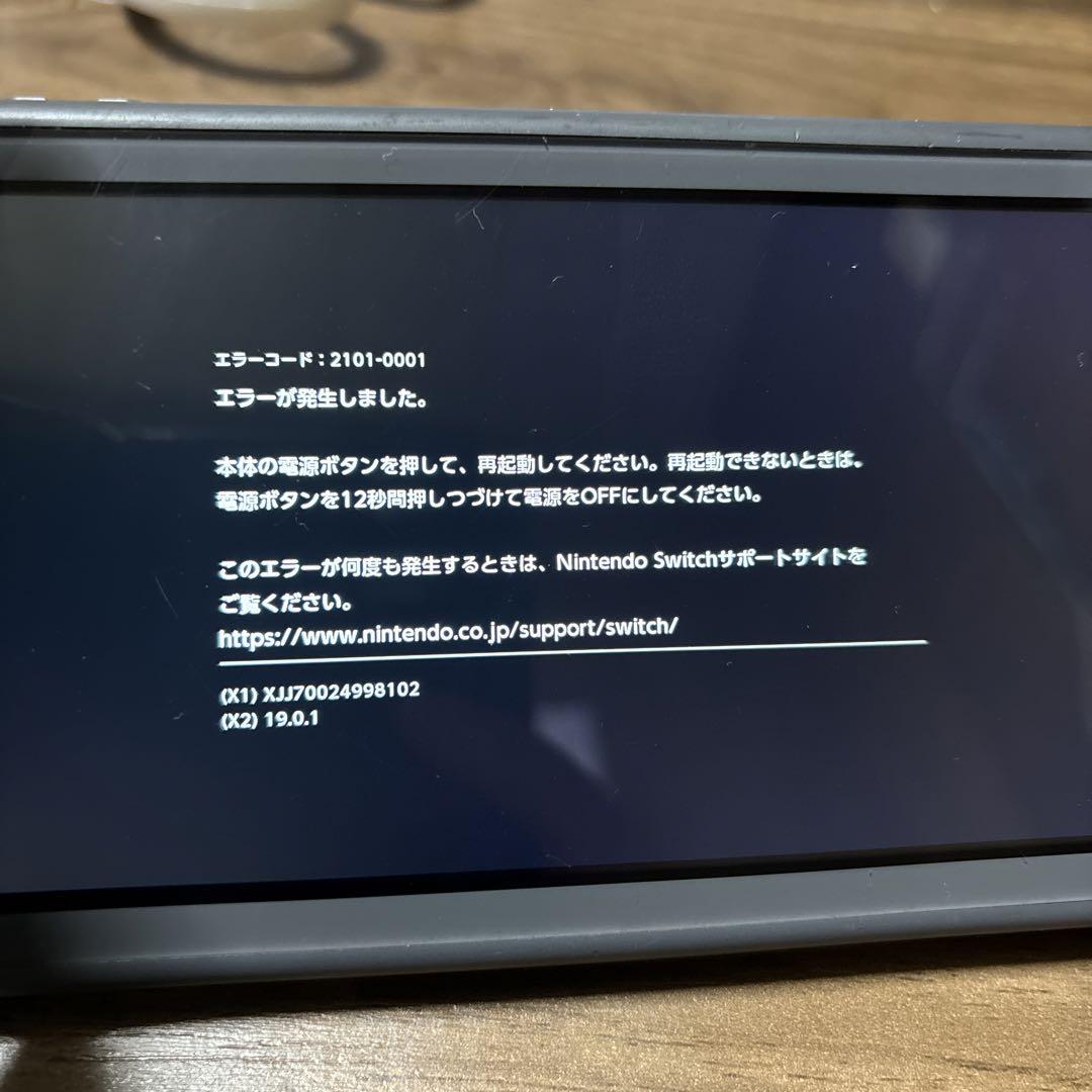 スイッチライト　ジャンク品