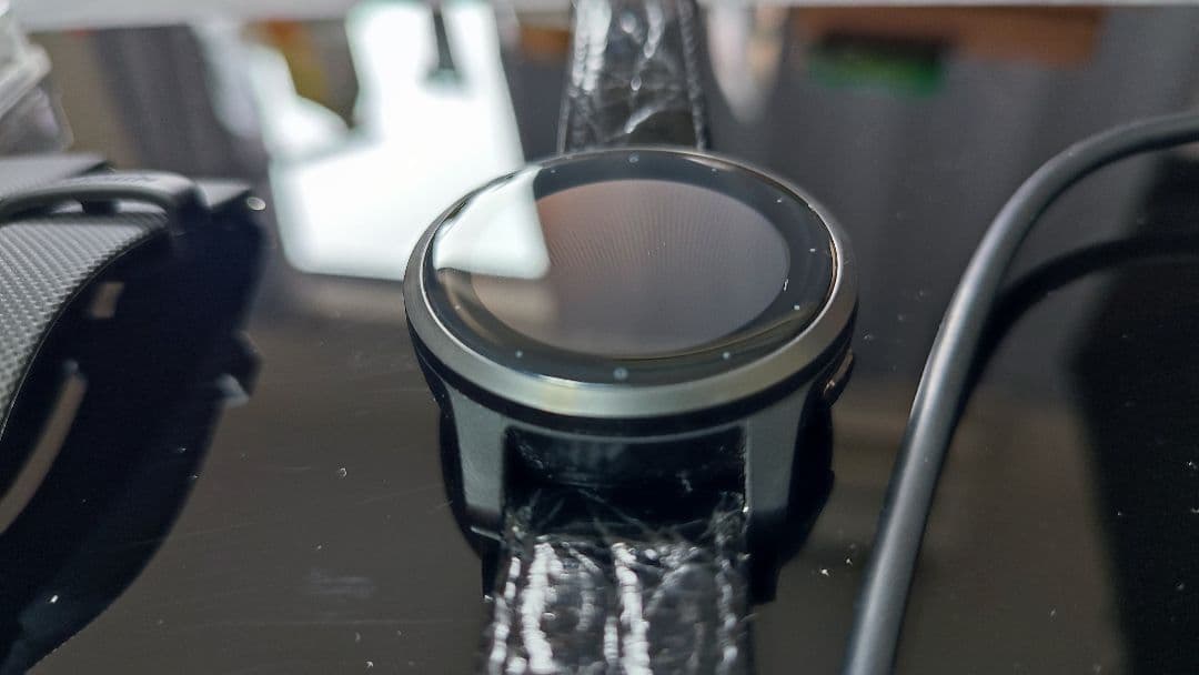 ガーミン VIVOACTIVE 4S VIVOACTIVE FOR