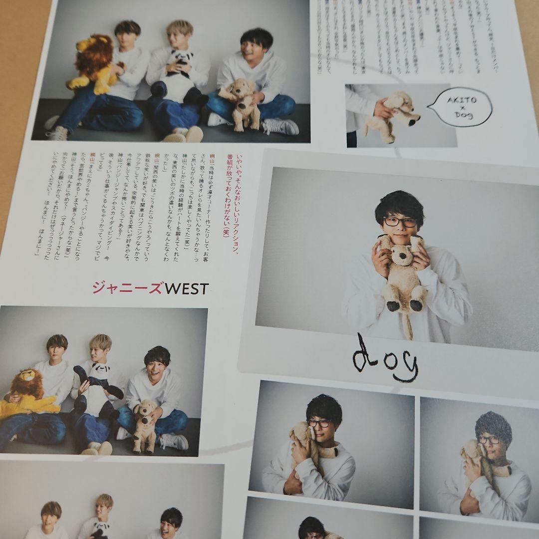 フラワーカンパニーズ 雑誌 切り抜き 270P インディーズ時代～