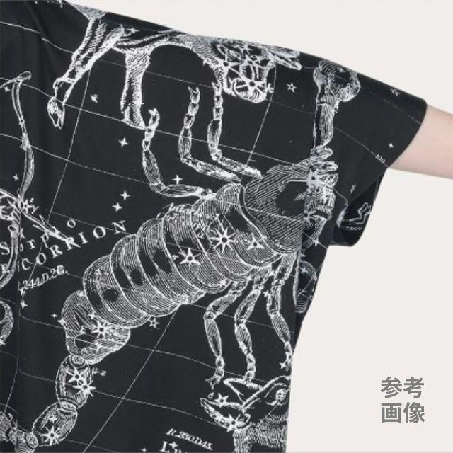 エレファントTシャツ