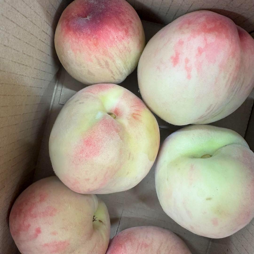 M 長野県 信州産 桃 もも 箱込み約1.8kg ×3 #h 長野県 信州産 ワッサー 硬い 桃 もも 箱込み約1.8kg #td - メルカリ