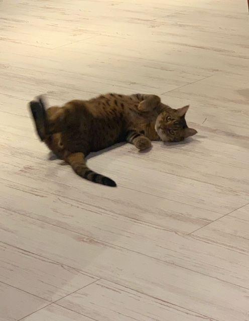 meさん、専用です。