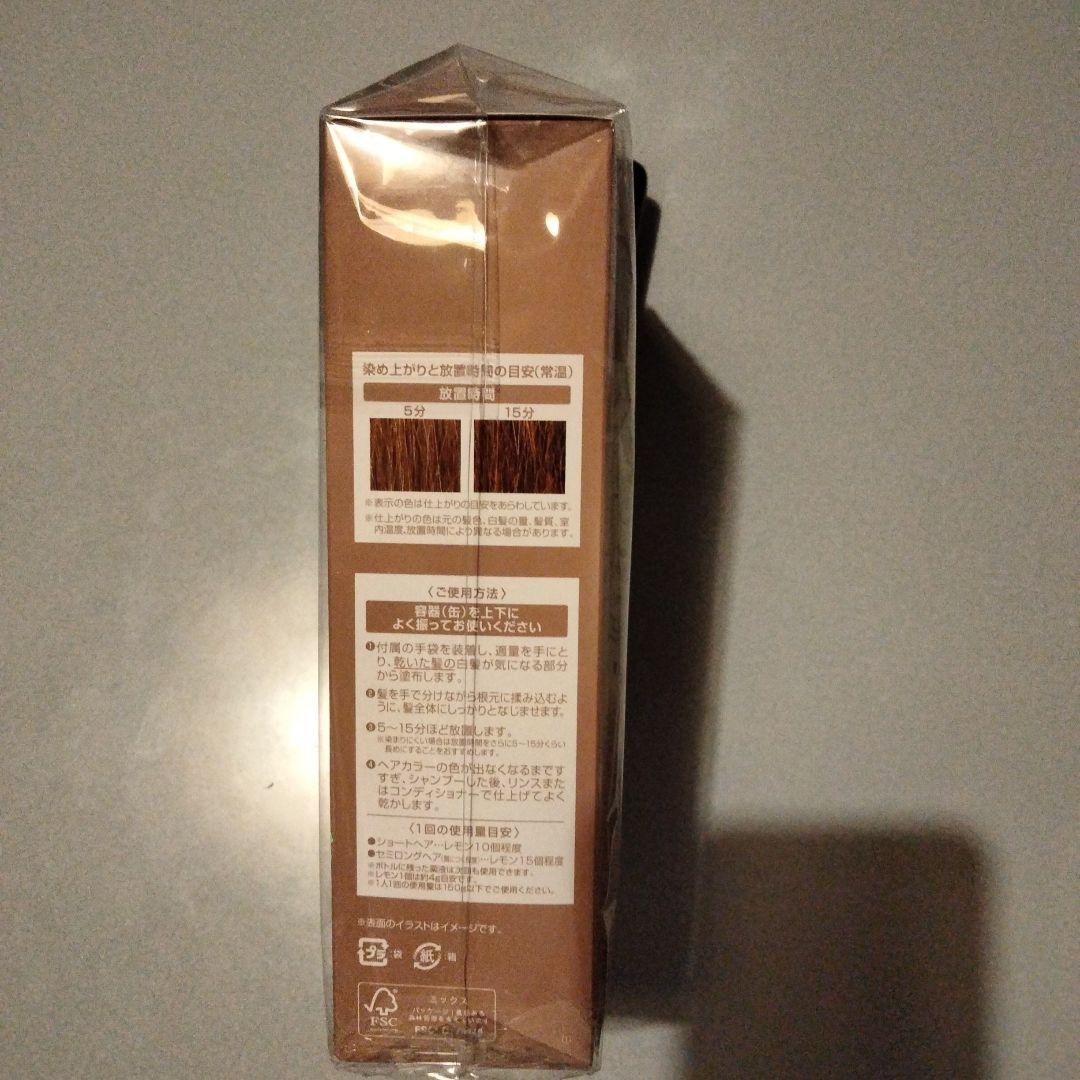 ヘアボーテ エクラ ボタニカル エアカラーフォームEX ライトブラウン 150g