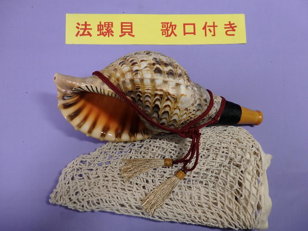 43%割引配送員設置 法螺貝 約30㎝ 木製歌口付 新品 MH-162 和楽器 楽器/器材-ELSPORTS.ES 43%割引配送員設置 法螺貝 約30㎝ 木製歌口付 新品 MH-162 和楽器 楽器/器材-ELSPORTS.ES