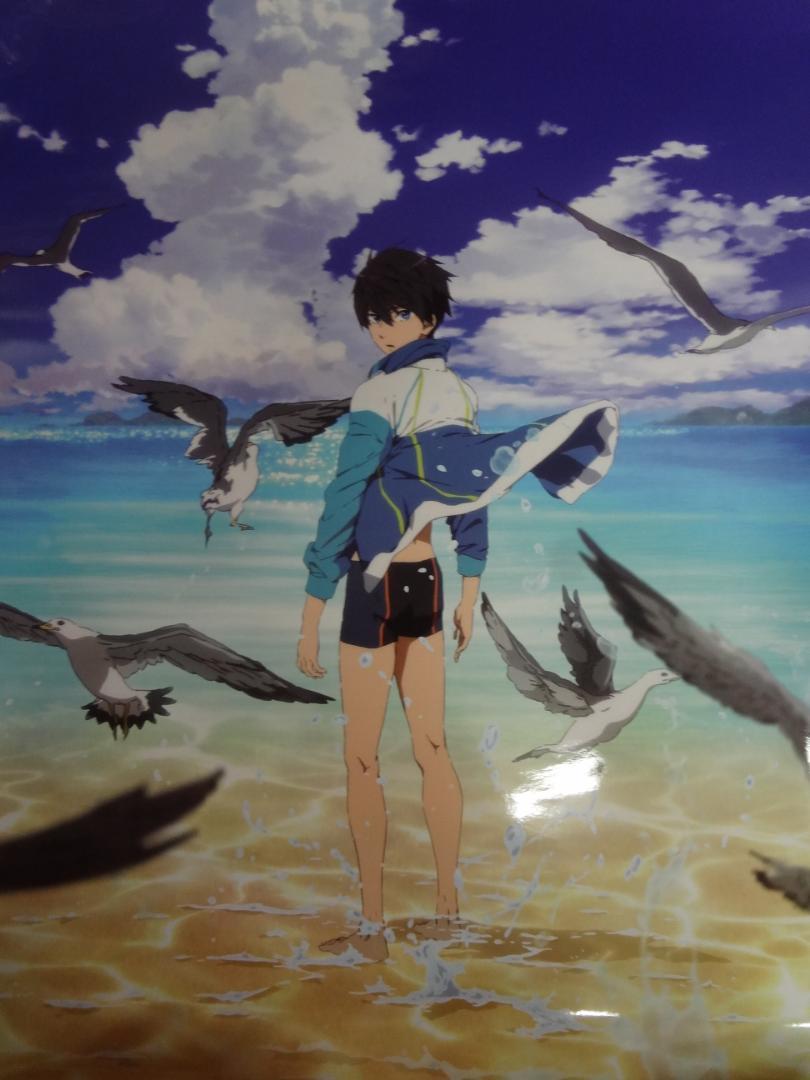 映画 ハイ☆スピード!-Free! Starting Days-パンフレット - その他
