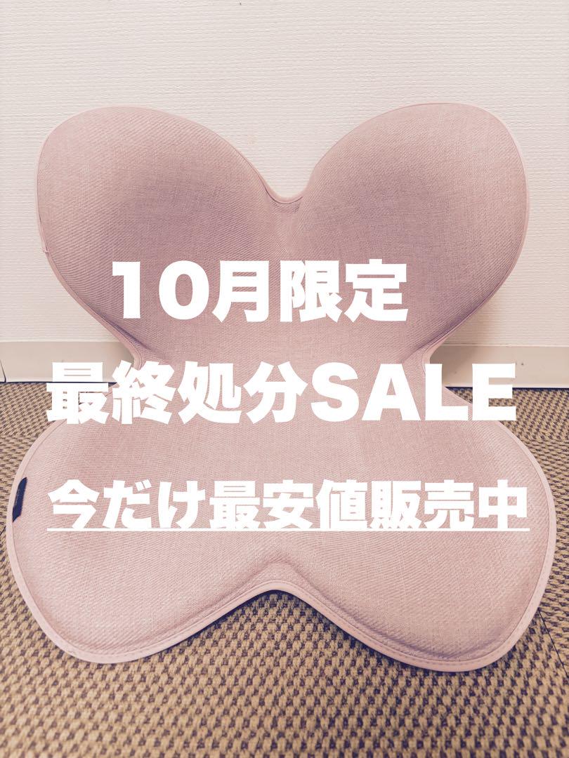 ★最終処分SALE骨盤矯正椅子 姿勢矯正椅子 未使用品 最安値販売
