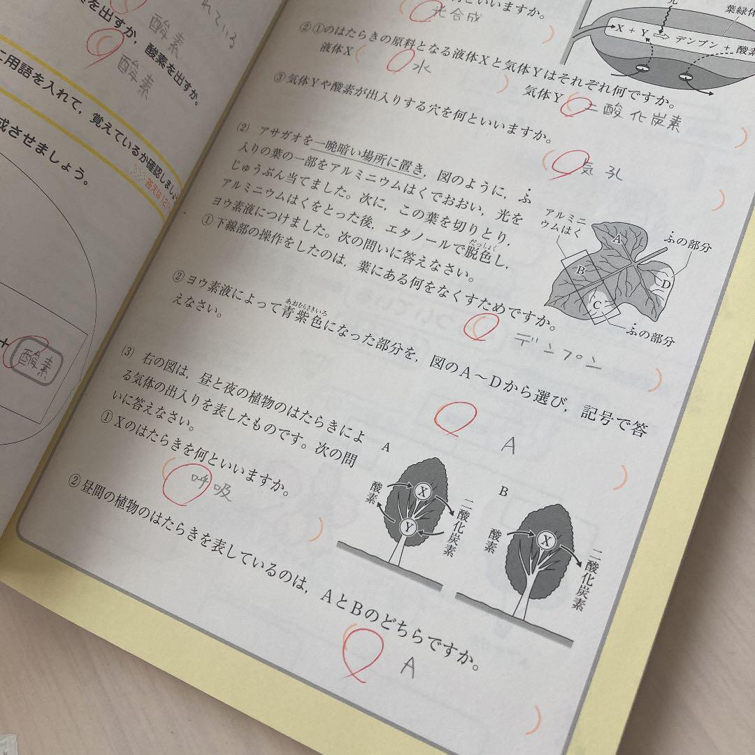 週末30分完成魔法の中1理科ノート メルカリ