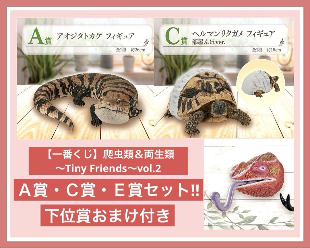 一番くじ爬虫類＆両生類～Tiny Friends～vol.2 Ａ賞Ｃ賞Ｅ賞セット