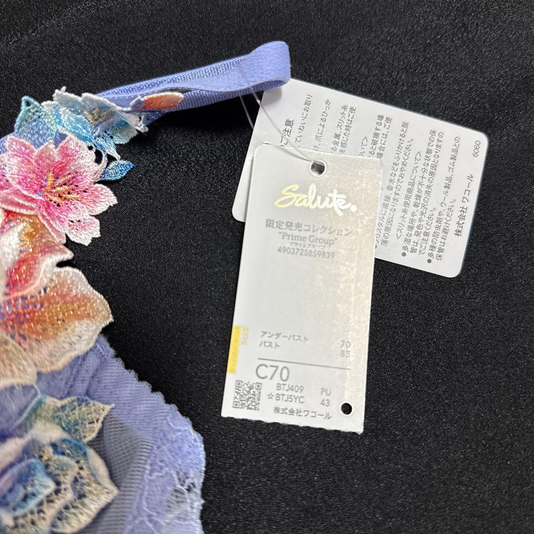 サルート　09グループ PU C70