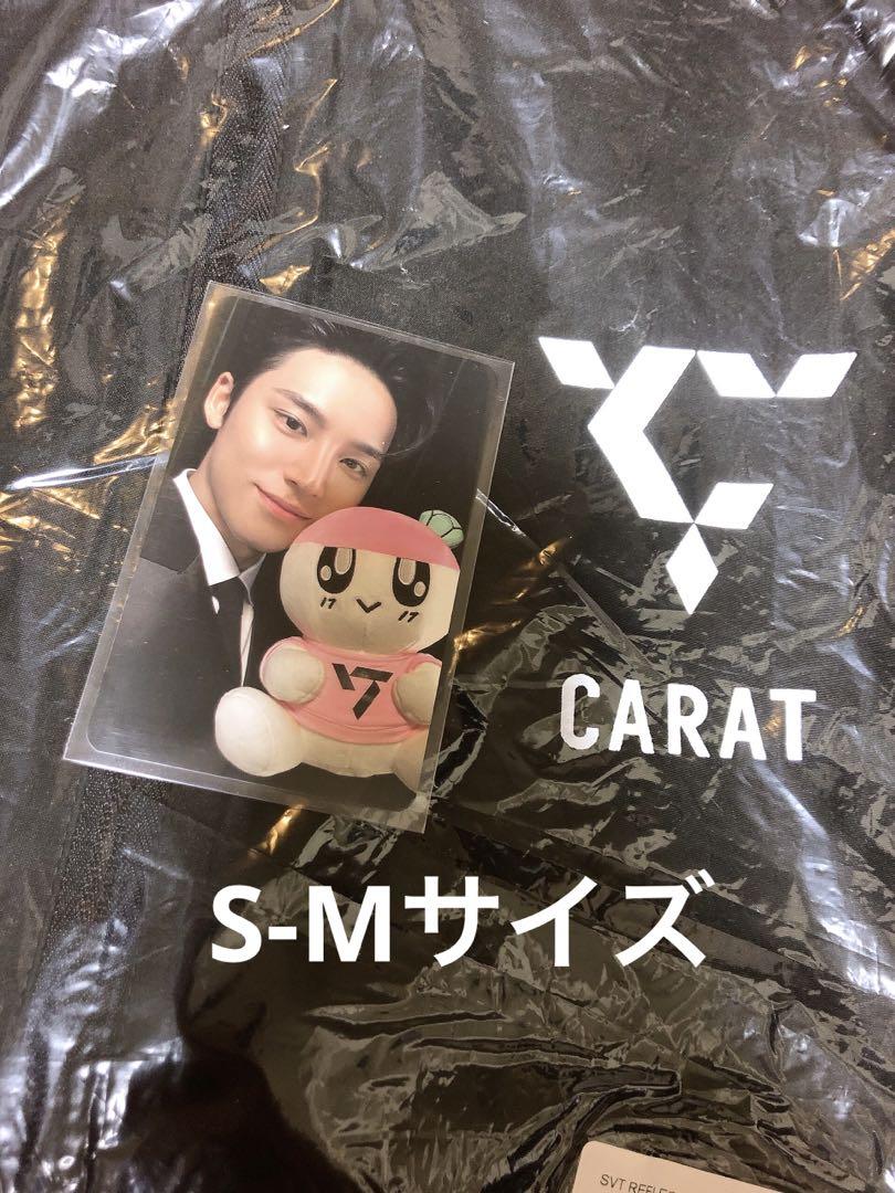 SEVENTEEN ミンギュ トレカ ウィンドブレーカー アメリカ US会場限定