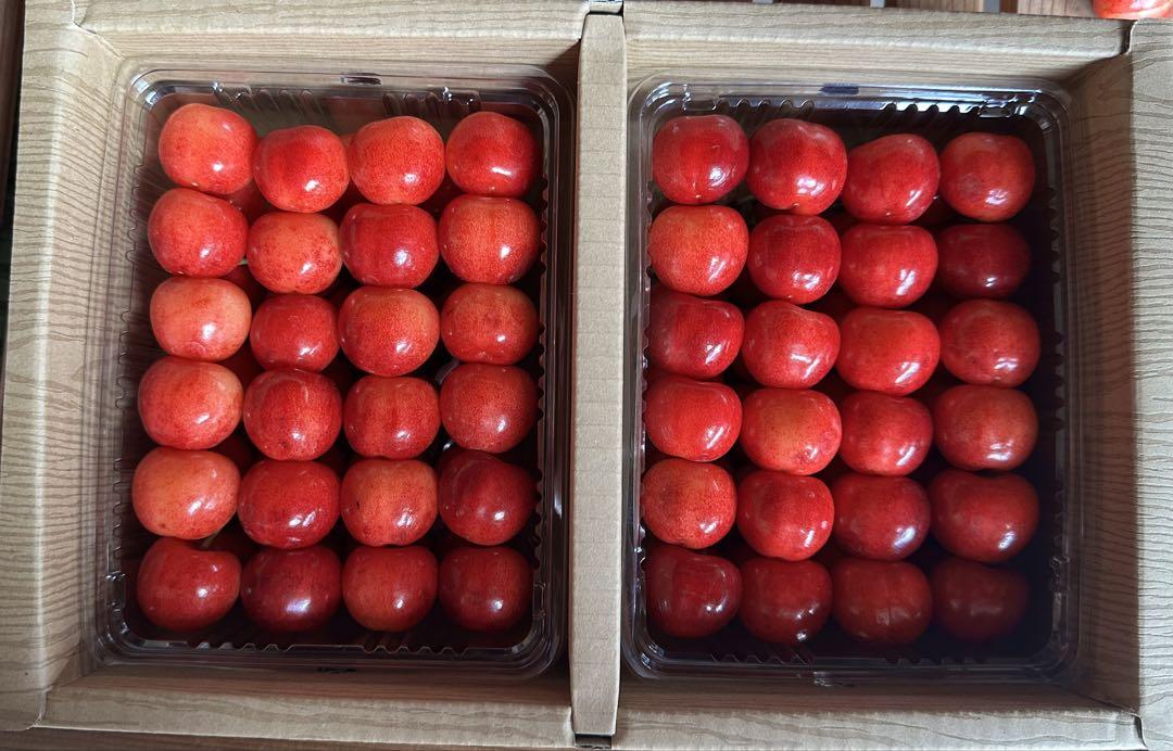 【超希少、残り限定2箱】自家栽培山形県産　さくらんぼ　紅てまり　箱込み1kg 超希少、残り限定2箱】自家栽培山形県産 さくらんぼ 紅てまり 2L