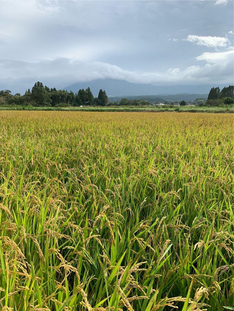 令和６年度　ヒノヒカリ　玄米10キロ　霧島連山　霧島水　ＥＭ菌米③