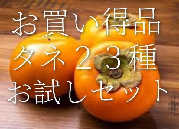 高級、甘柿と梅の木と、２１種の花と野菜の種お試しセット。匿名送料無料です。