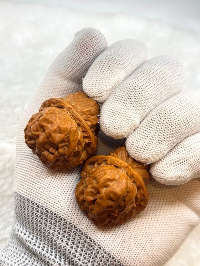 サイズ40 クルミ