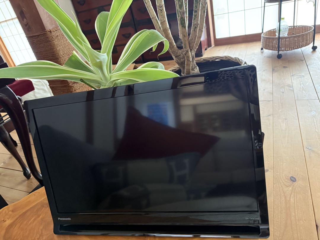 Panasonic 19V型 ポータブル デジタルテレビ プライベート・ビエラ