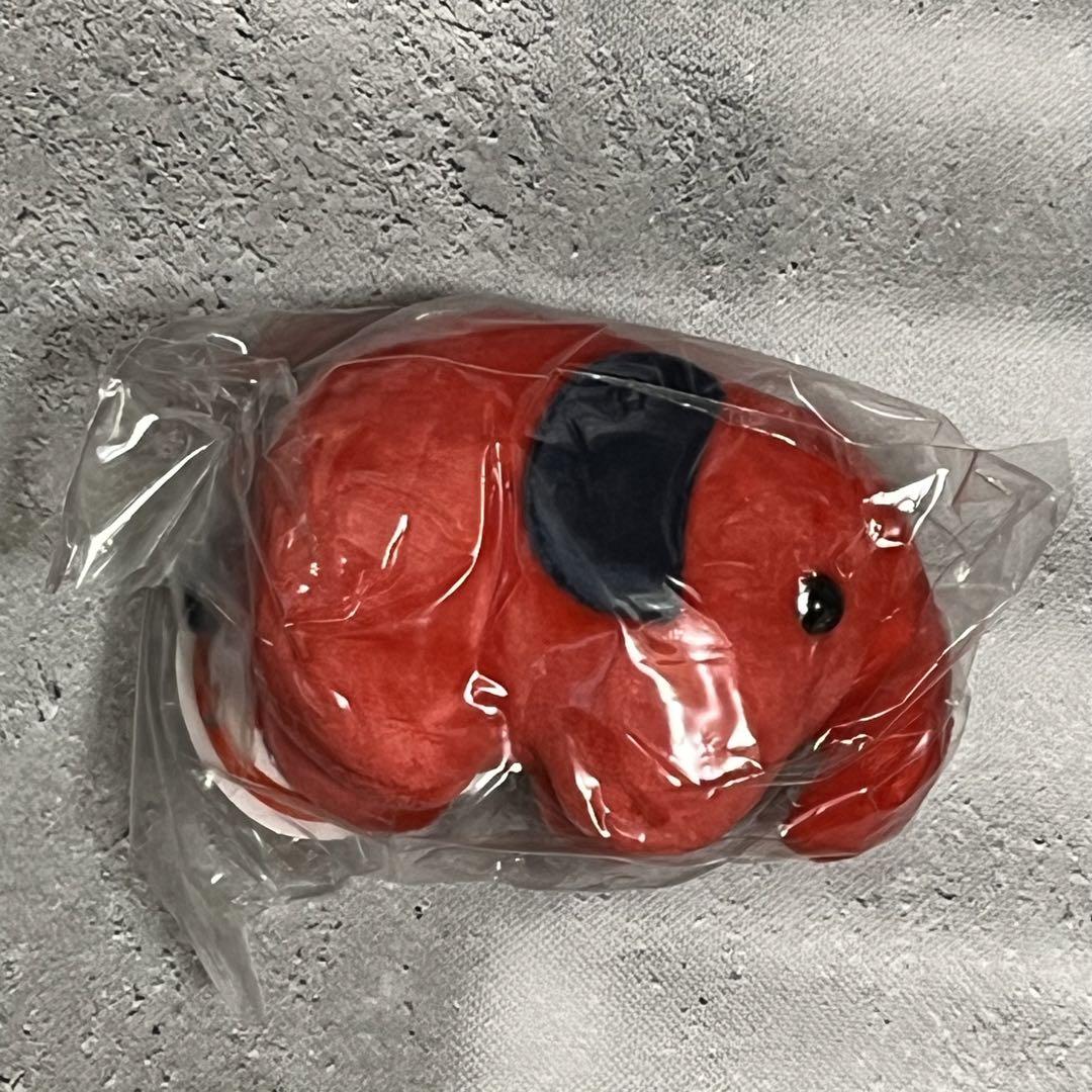 どむぞうくん　どむみ　ぬいぐるみ　ボールチェーン