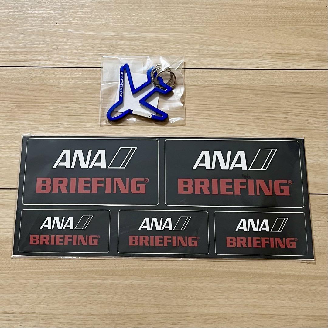 BRIEFING for ANA スーツケース H-34F