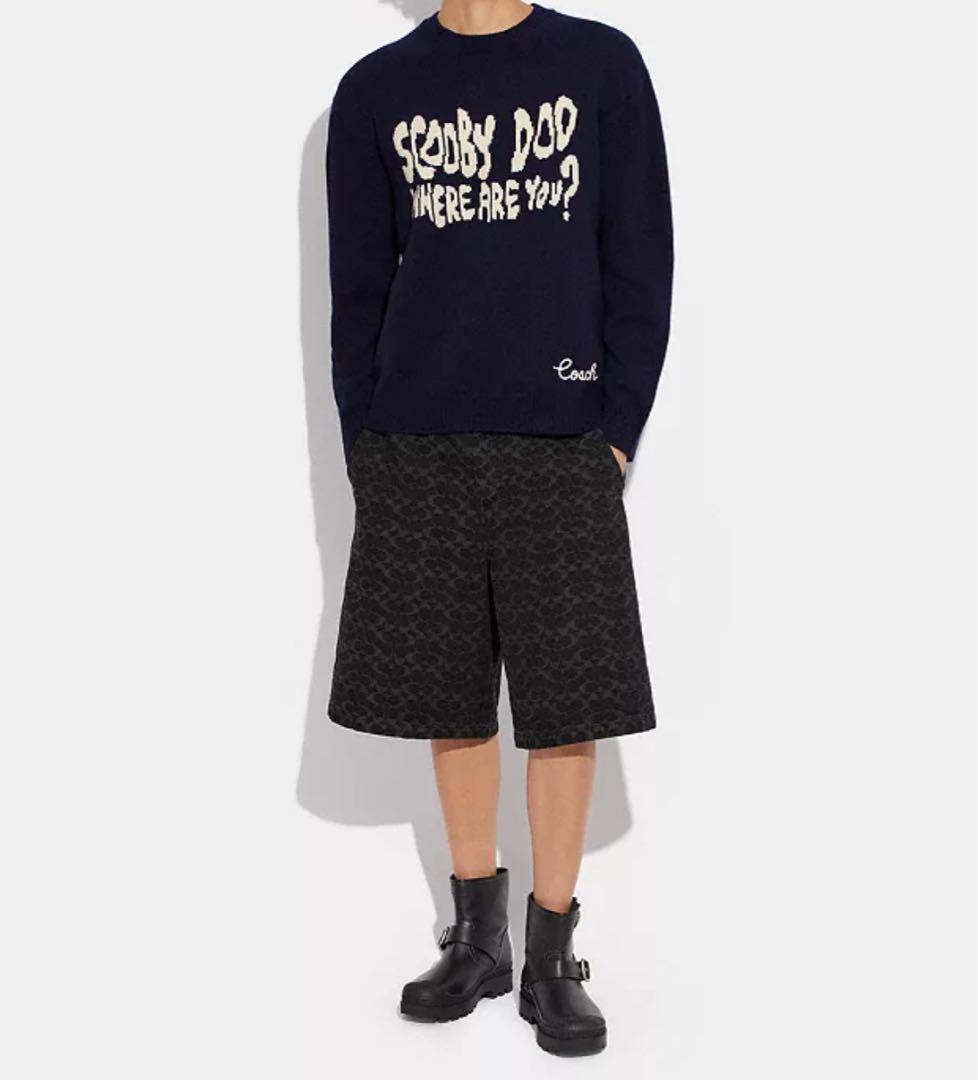 COACHニット（新品）