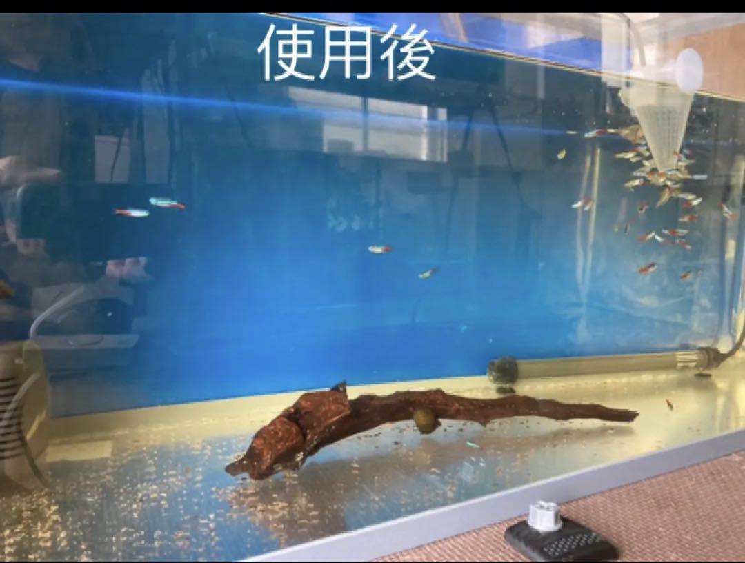 10キろ材水質浄化抜群濾過フィルター自社製高品質セラミックリング送料込み即時発送