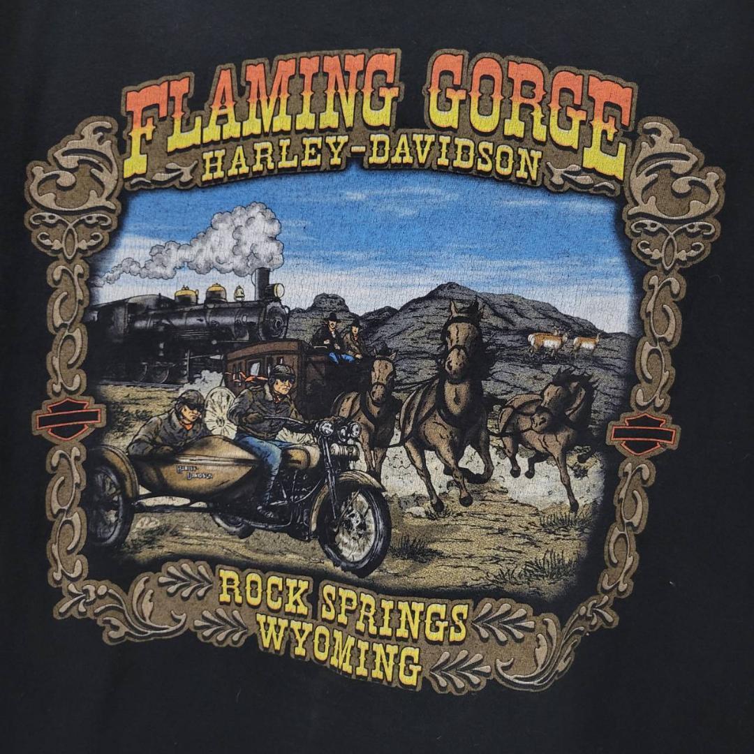 古着 USA製 ハーレーダビッドソン フレミングゴージ Tシャツ - メルカリ