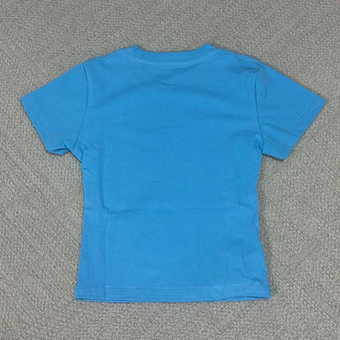 Tシャツ 大人気 ピチT グランジ y2k ストリート 00s 平成ギャル