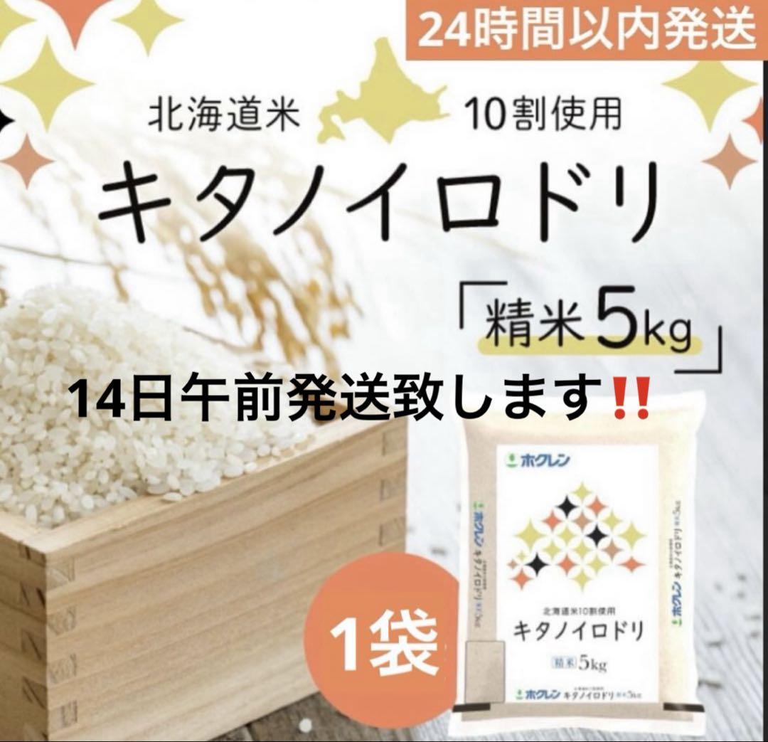 北海道産お米5キロ☆キタノイロドリ〜24時間以内発送〜