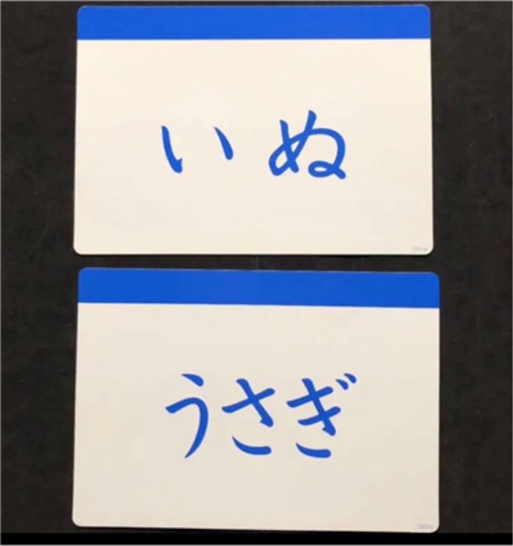 定番最新作 七田式 単語カード 1800枚 opF50-m30784964523 フラッシュカード かな絵ちゃん 品質保証人気SALE
