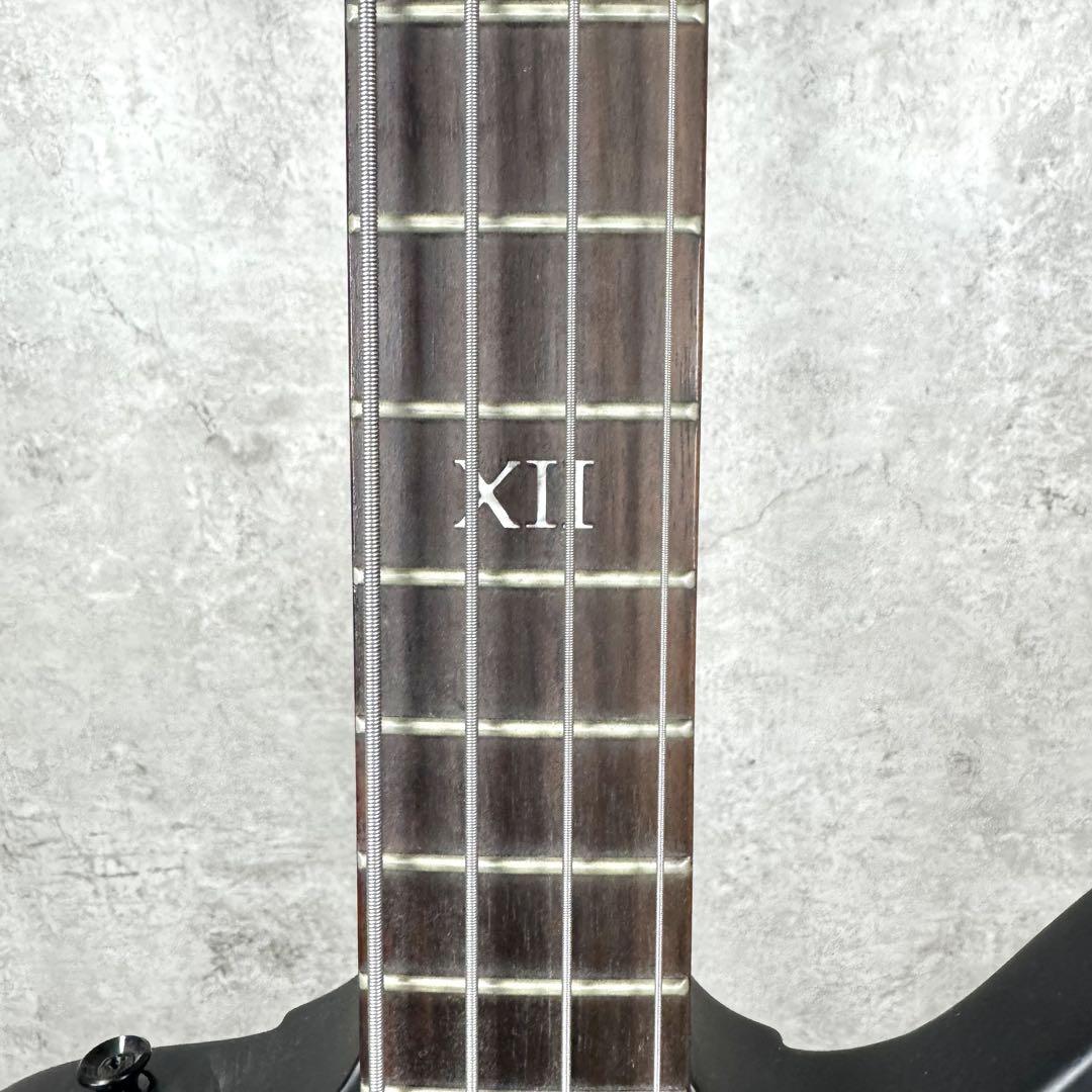 希少】Epiphone Goth Thunderbird IV 純正ケース ベース