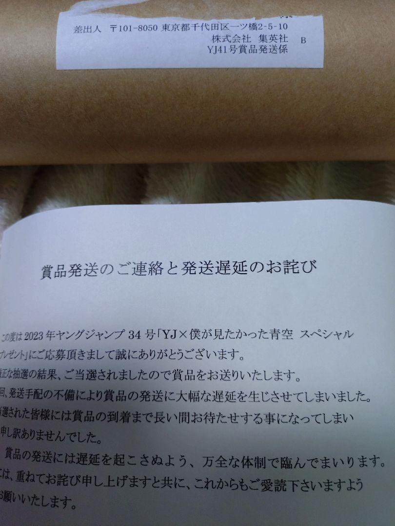 僕が見たかった青空 ヤングジャンプ当選品 B2ポスター2枚 僕が見たかった青空 ヤングジャンプ当選品 B2ポスター2枚
