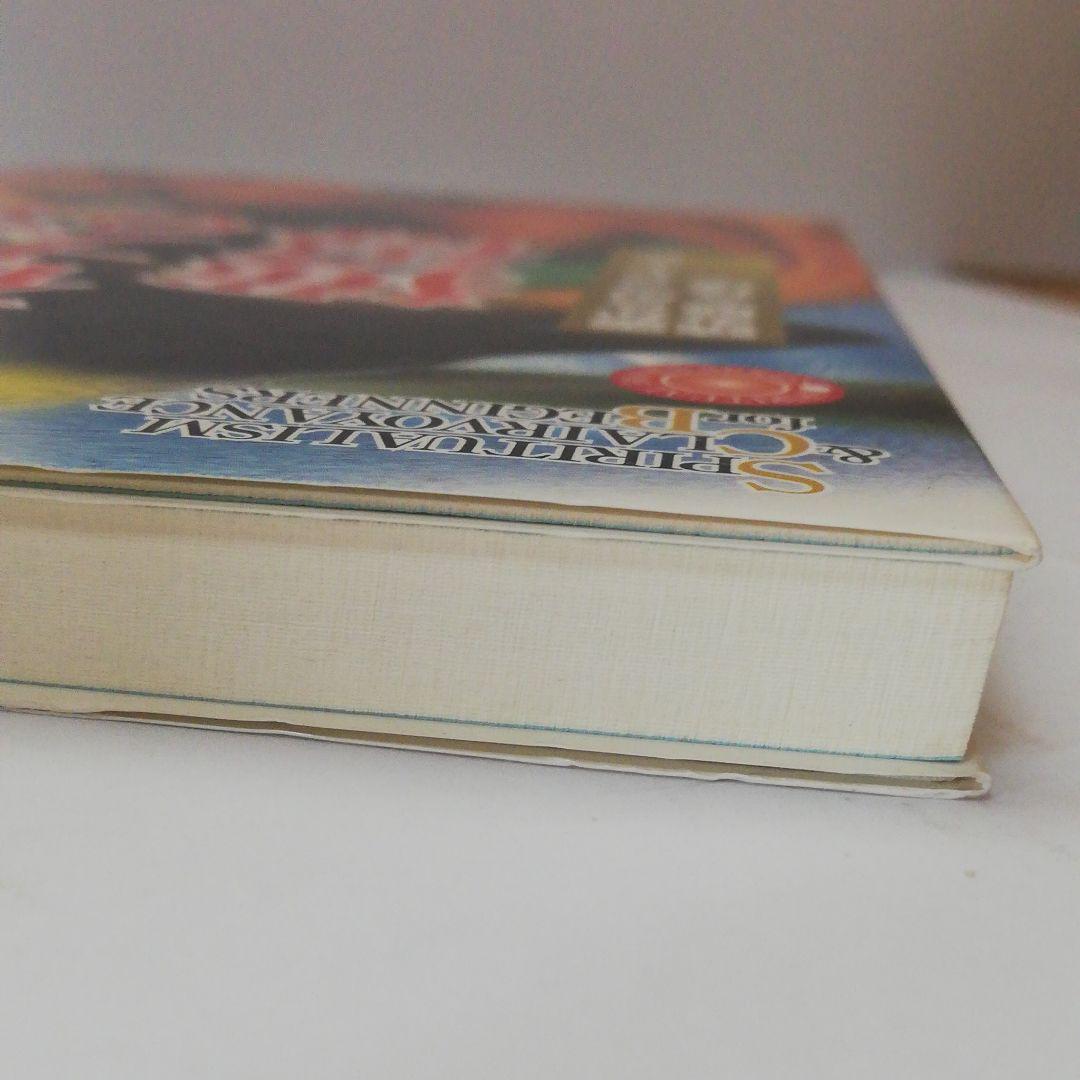 霊視力の獲得 : 霊からのメッセージを読み解く技法