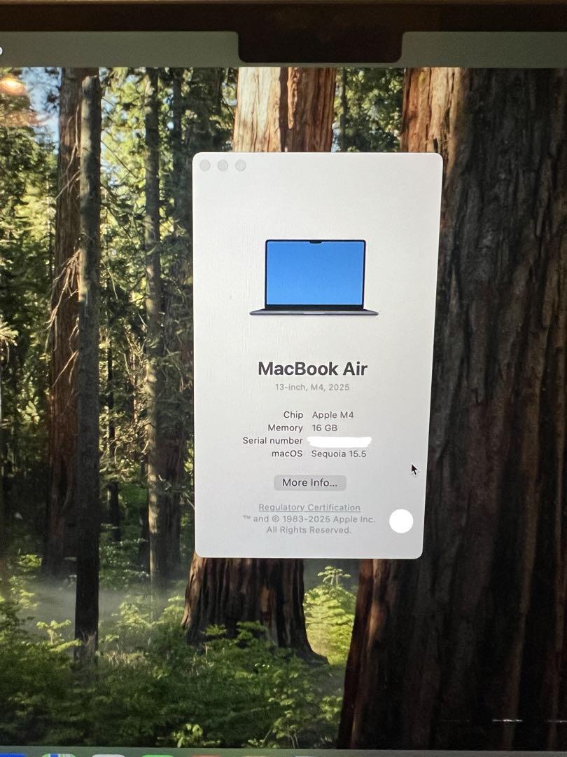 Apple MacBook Air M4 16GB 13インチ