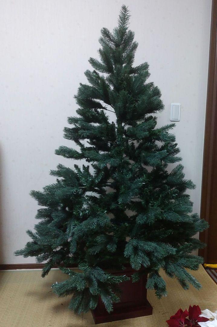 クリスマスツリー